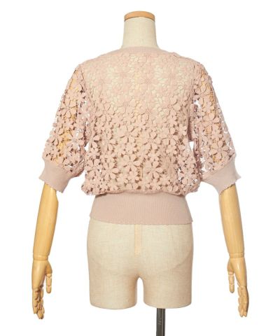 Back (pink beige)