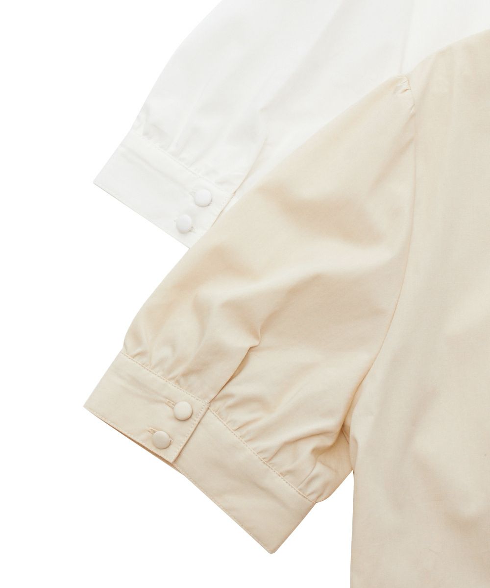 カラーバリエーション