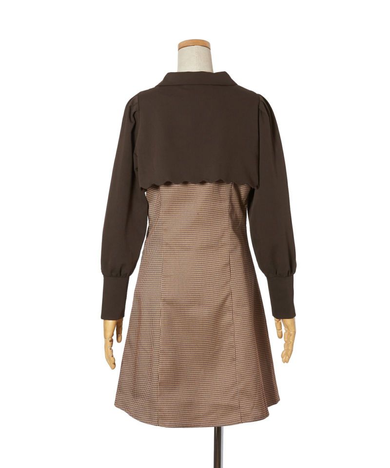 Back (brown×yellow)