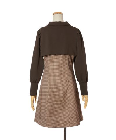 Back (brown×yellow)