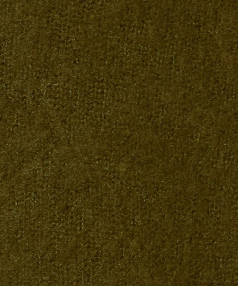 生地アップ (green)
