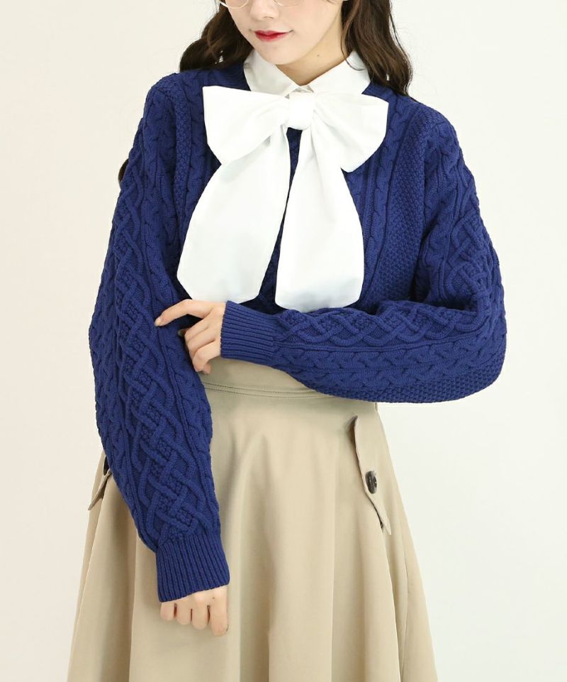 blue / 162cm / layered with blouse