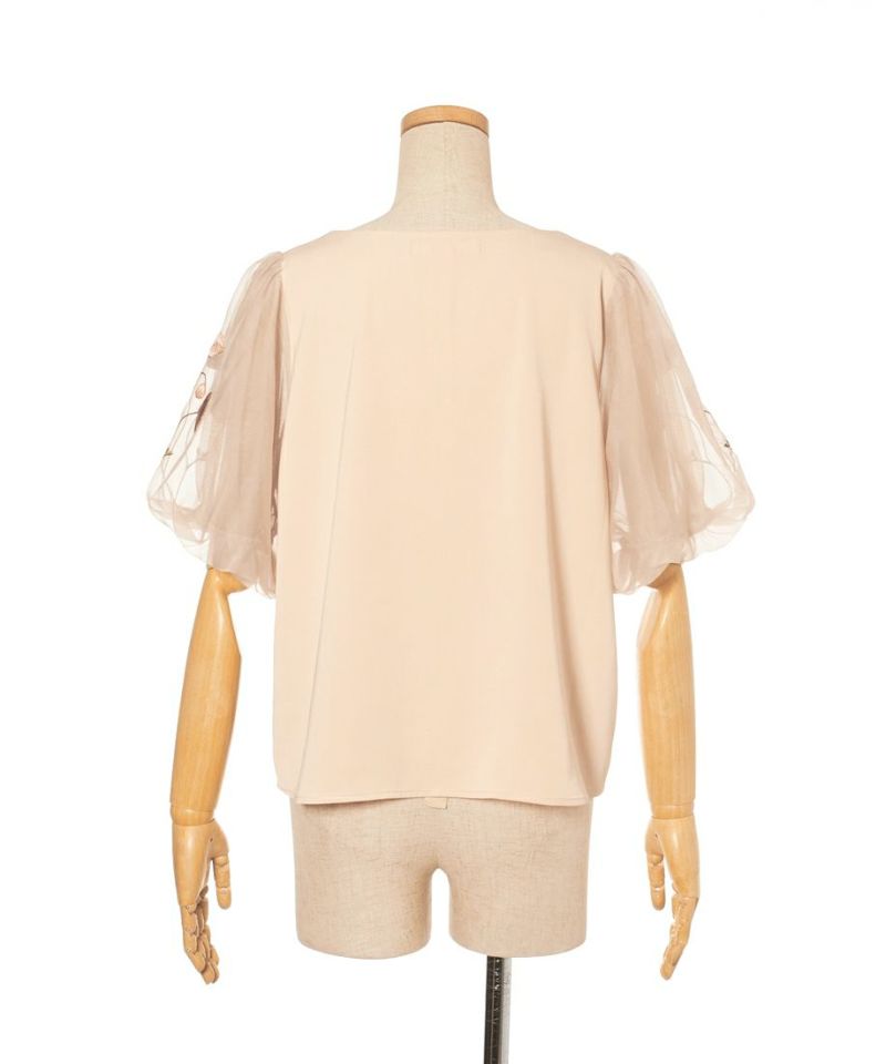 Back (light orange)