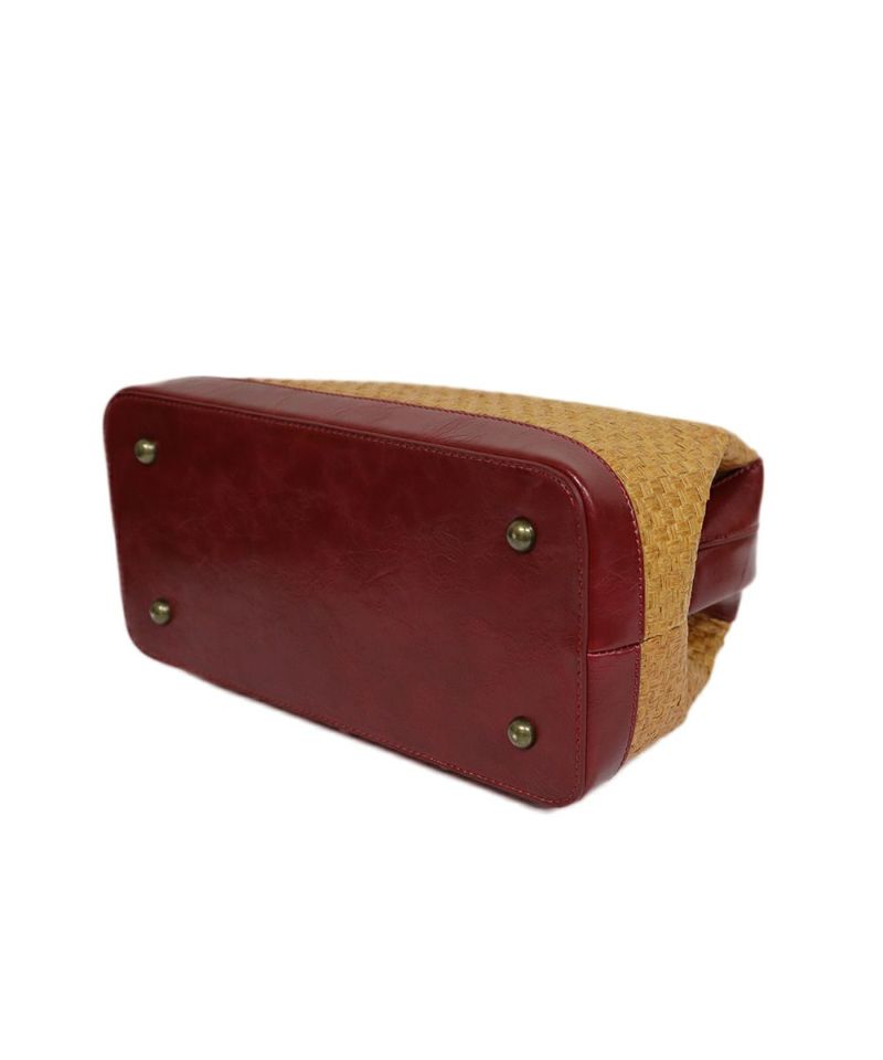 back side (camel)