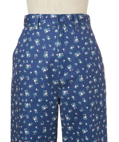 Front up (blue)