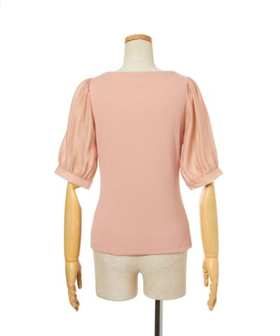 Back (coral pink)