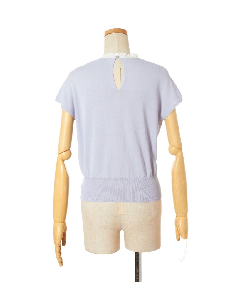 Back (blue gray)