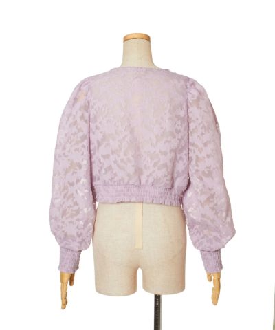 Back (lavender)