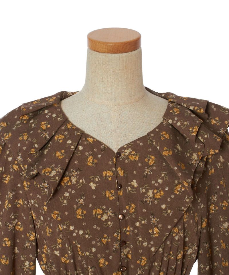 Front up (brown)