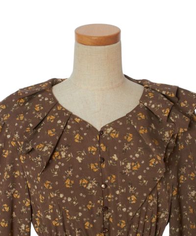 Front up (brown)
