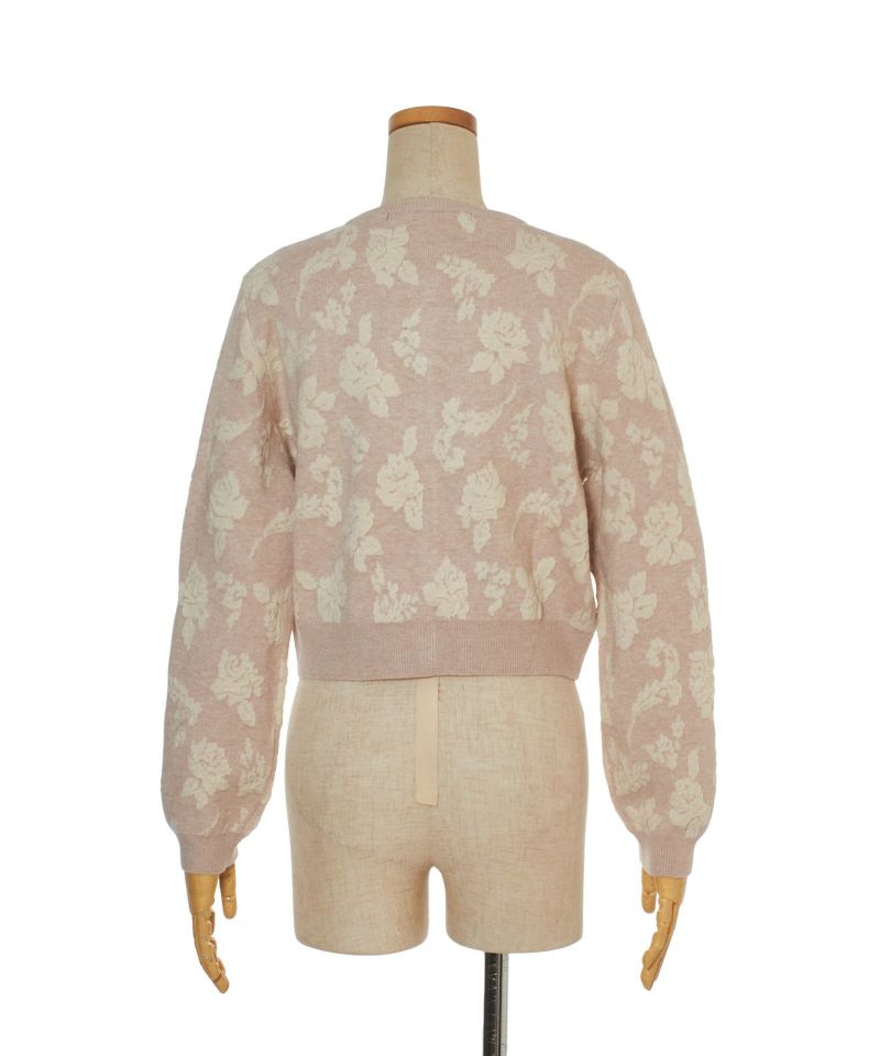 Back (pink beige)