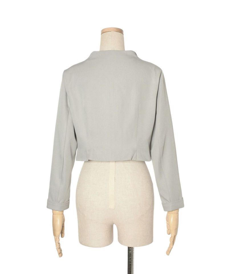 Back (light gray)