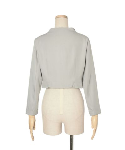 Back (light gray)