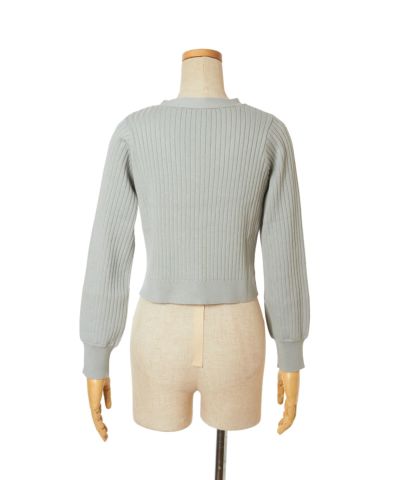 Back (light blue)