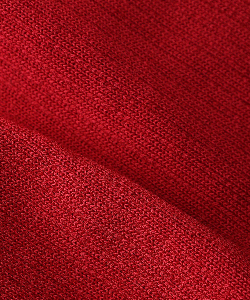 生地アップ (red)