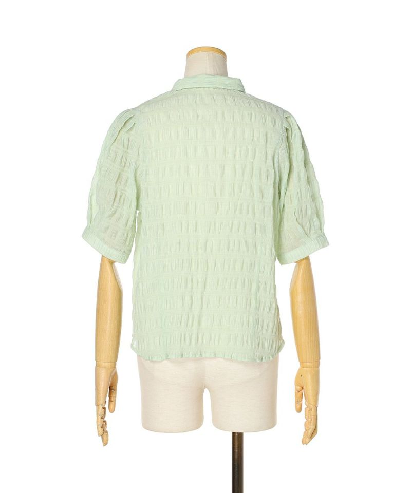 Back (light green)