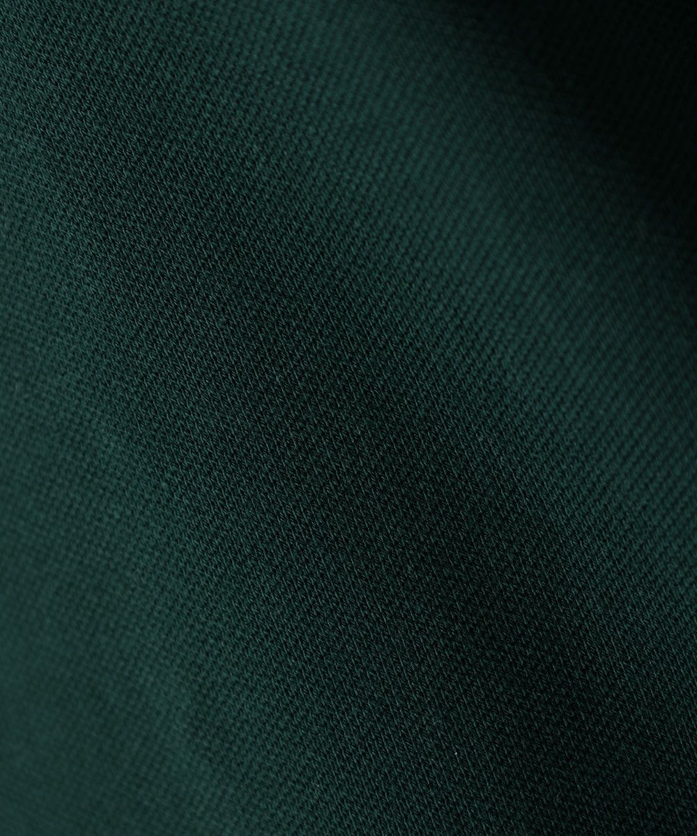 生地アップ (green)