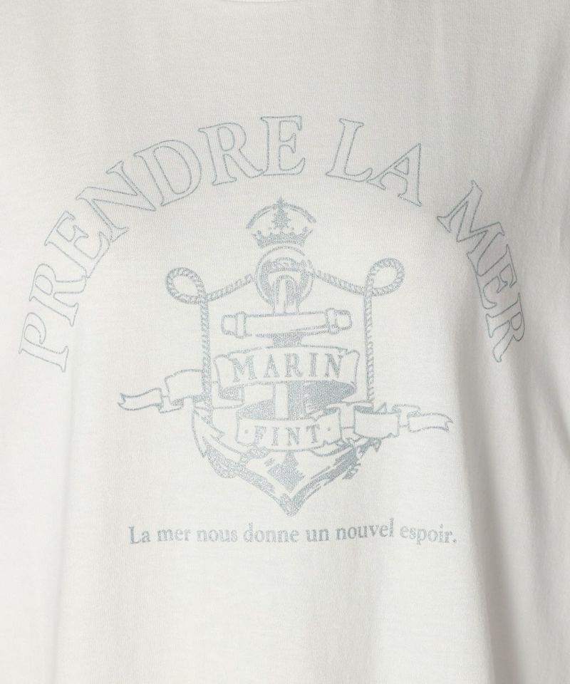 Emblem (blue gray)
