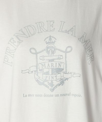 Emblem (blue gray)