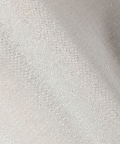 Fabric close-up (silver)