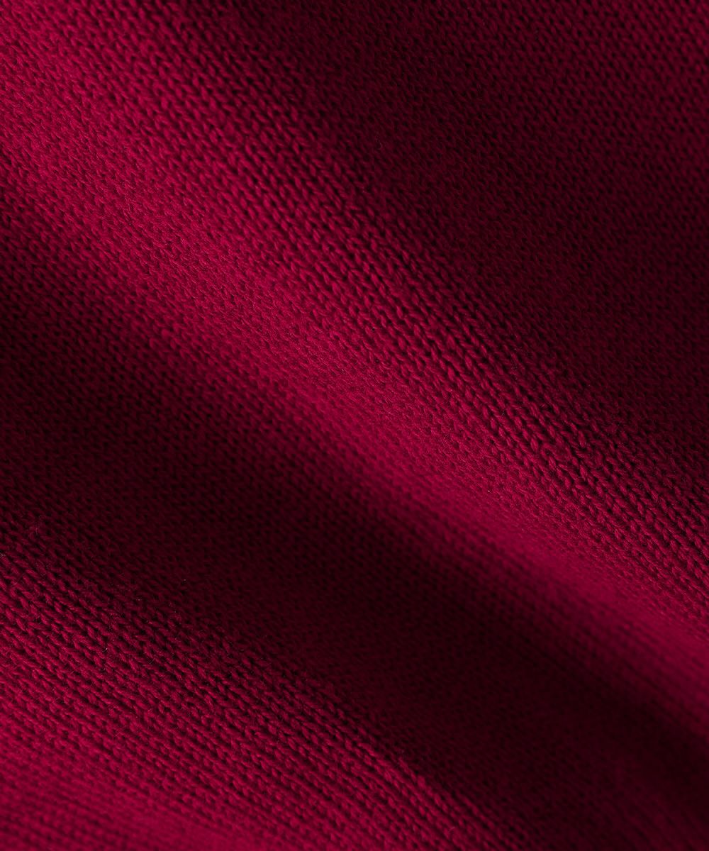 生地アップ (red)