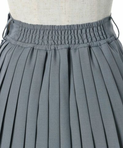 Backup (blue gray)