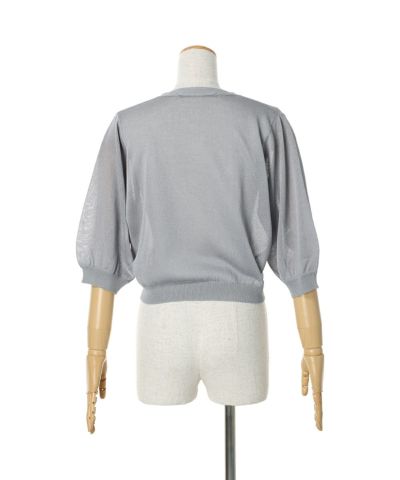 Back (blue gray)