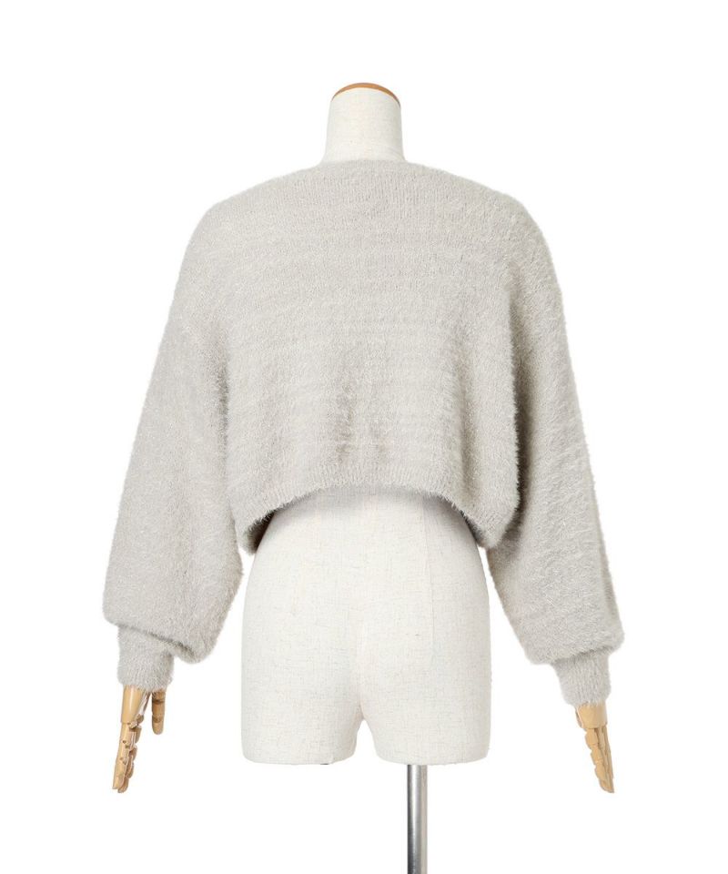 Back (light gray)