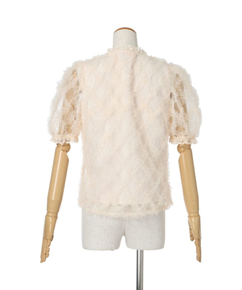 Back (pink beige)