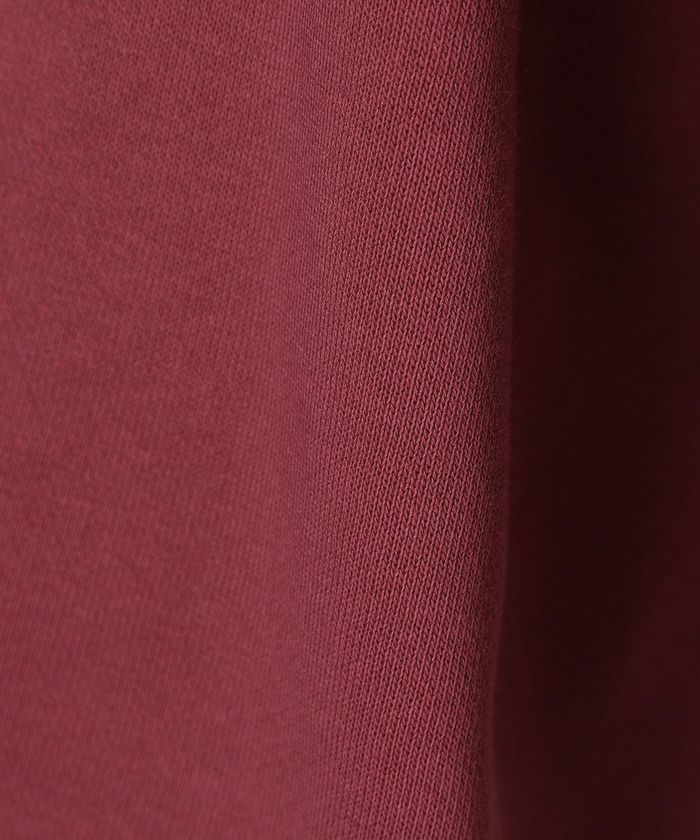 生地アップ (red)