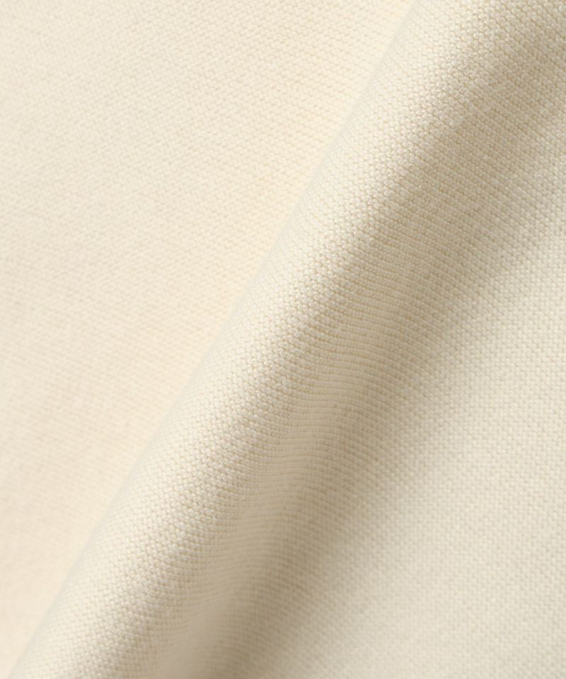 Fabric close-up (off white×blue)