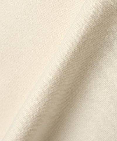 Fabric close-up (off white×blue)