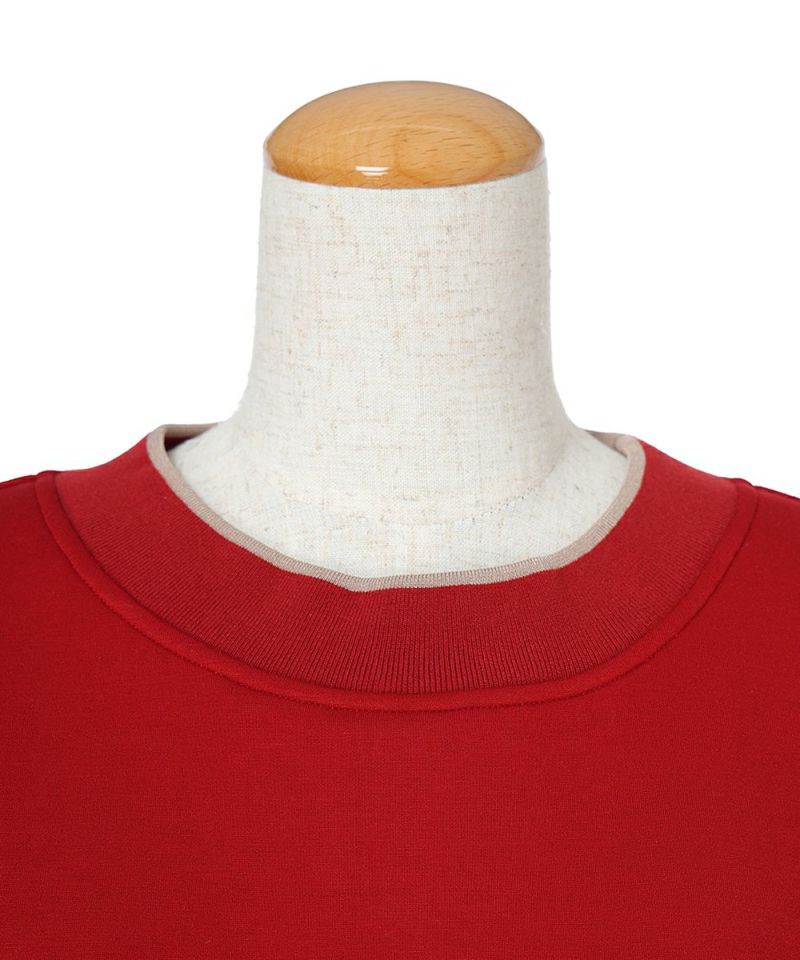 Collar close-up (red)