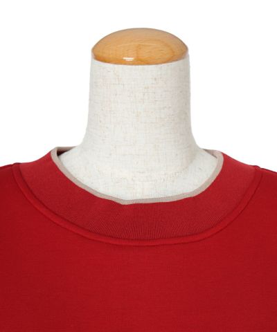 Collar close-up (red)