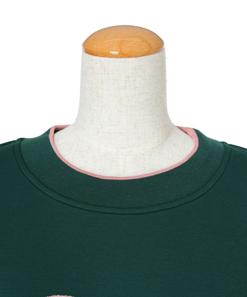 Close-up of collar (green)