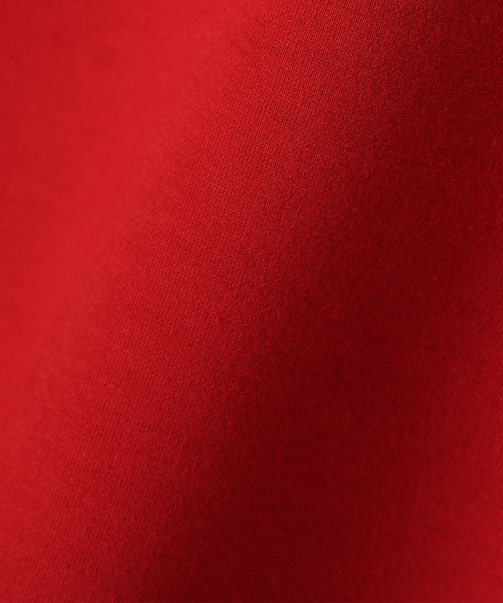 生地アップ (red)