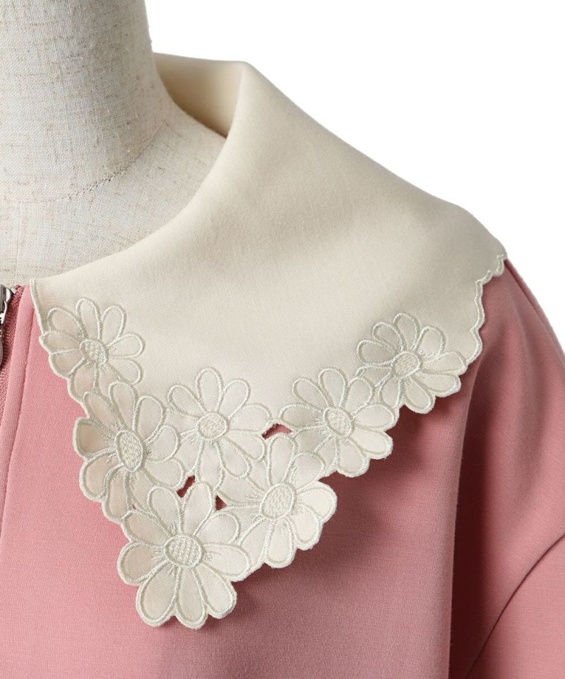 Collar (pink)