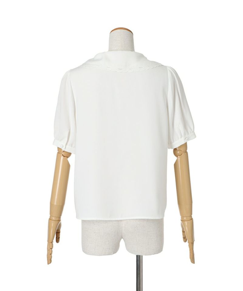 Back (white x blue)