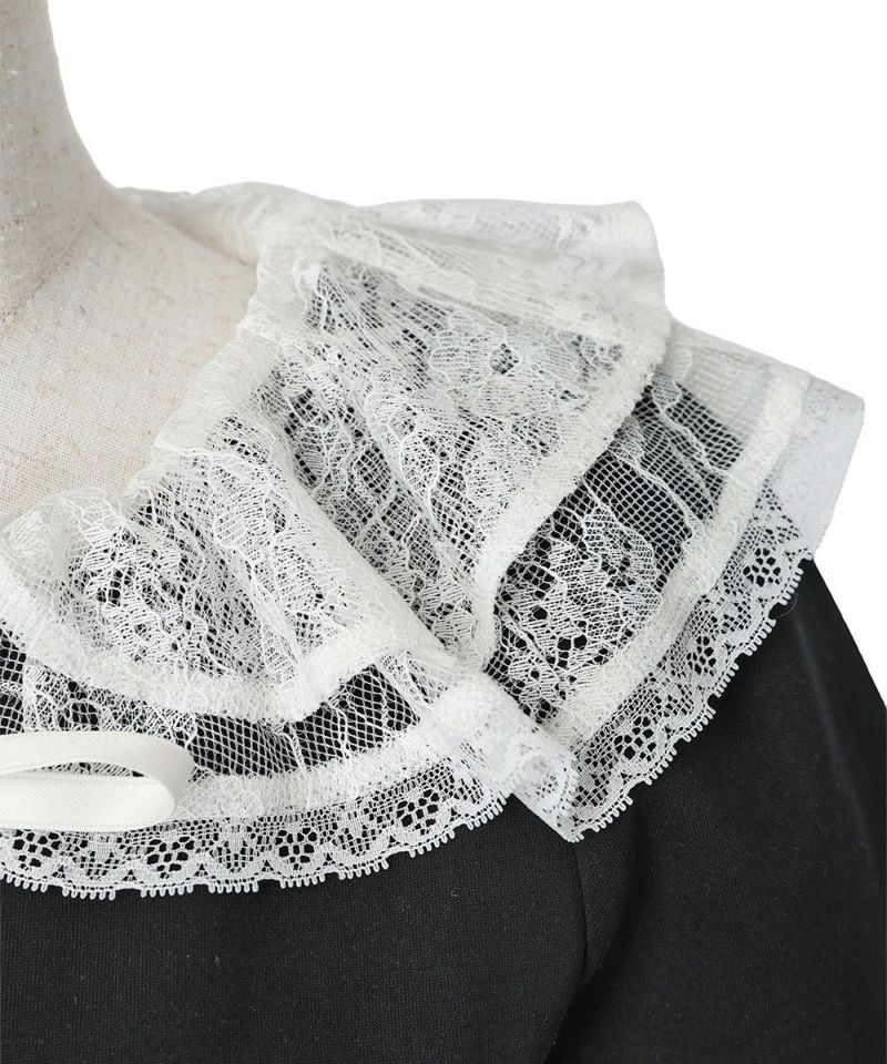 Lace embroidery (black)