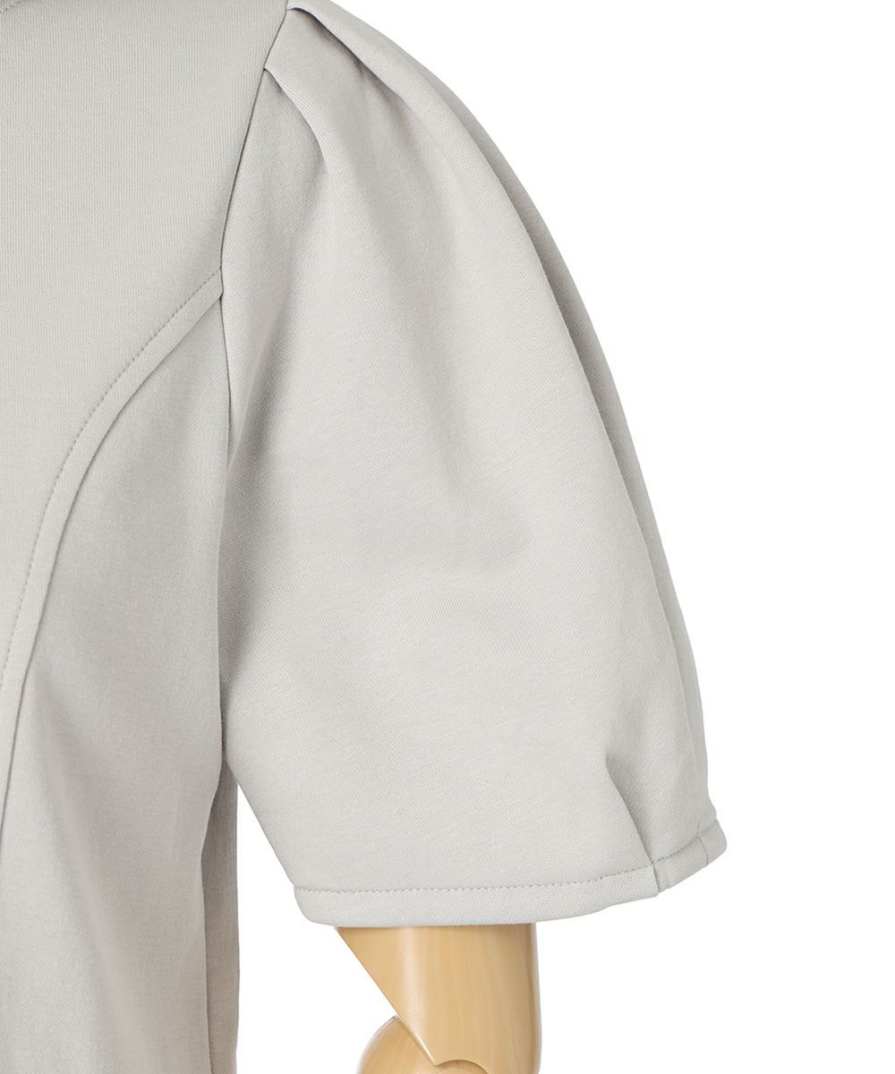 袖 (light gray)