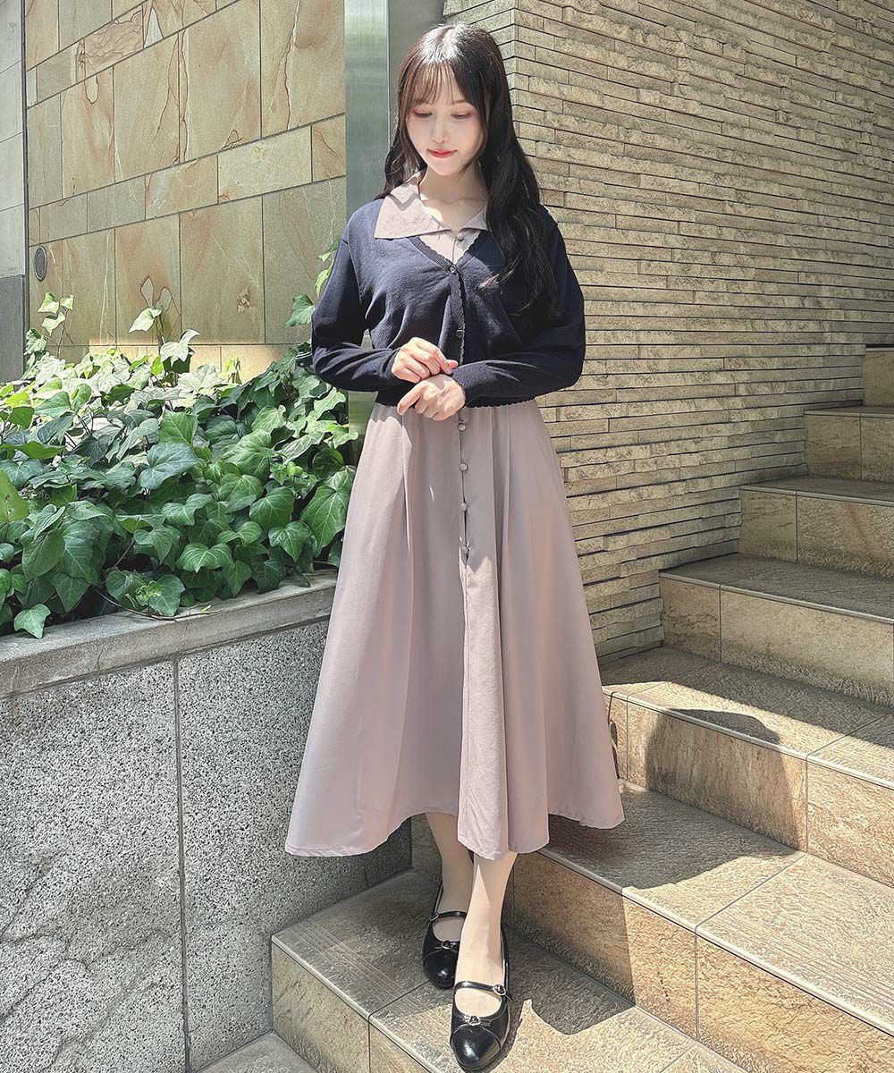 ローズ刺繍衿ワンピース/an another angelus [55BE02h005] | F i.n.t