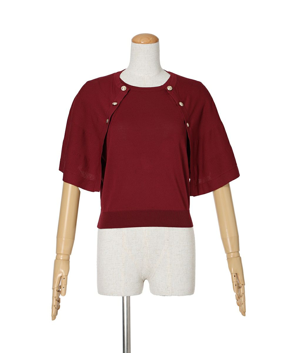 チェーンを外した状態 (wine red)